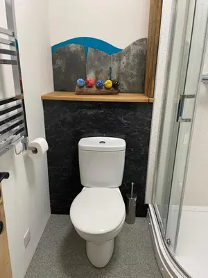a bathroom with a white toilet and a shower at Rosehip Barn in Launceston