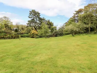 a large grassy field with trees in the background at Flushing Meadow in Helston
