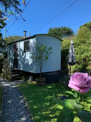 a tiny house in a yard with a pink rose at Tides Reach, Deluxe Shepherds hut 1, 100m from the Beach in St Merryn