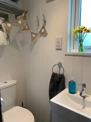 a bathroom with a toilet and a sink at Tides Reach, Deluxe Shepherds hut 1, 100m from the Beach in St Merryn