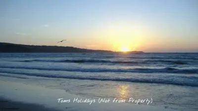 a bird flying over the ocean at sunset at G05 Horizon G5, Riviere Towans in Hayle