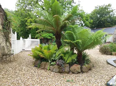 a garden with a palm tree and rocks at Pleasant streams Barn in St Austell
