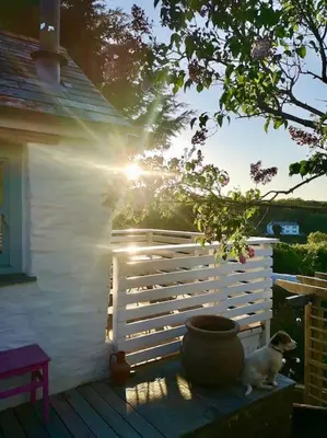 a dog sitting on a porch next to a white fence at The little post house. A perfect village retreat, with stunning views. in Boscastle