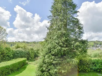 a tall tree covered in ivy in a garden at Moorside - Uk43497 in Lostwithiel