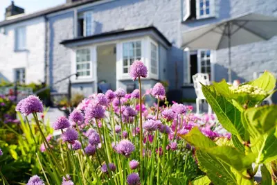 a garden with purple flowers in front of a house at Luxury holiday cottage by the harbour in St Mawes in Saint Mawes