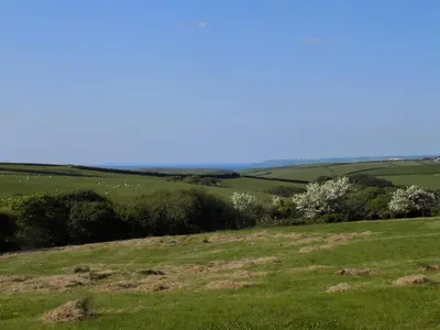 a field of green grass with sheep in the distance at Brookfield in Bude