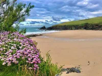 a beach with purple flowers and the ocean at Trevone Bay Seaside Home For 4 - Close To Beach and Padstow in Padstow