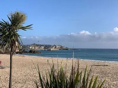 a beach with a palm tree and the ocean at The Little Loft St Ives in St Ives