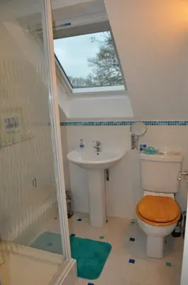 a bathroom with a toilet and a sink and a skylight at Meadow Oak Accommodation in Bodmin