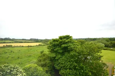a tree in the middle of a green field at The Penthouse, top floor of a Grade II Listed Mill in Praze an Beeble