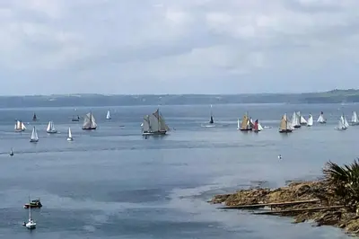 a group of sailboats on a large body of water at Upper Tresulian in Saint Mawes