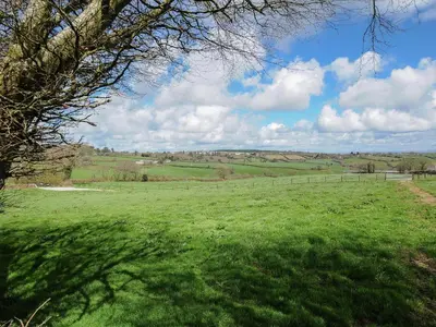 a field of green grass with a tree in the foreground at Skylarks in Looe