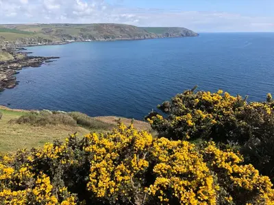 a view of the ocean from a hill with yellow flowers at Home from Home self catering for 2 in St Austell