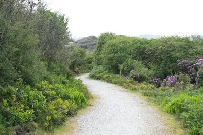 a gravel road with trees and flowers on it at Home from Home self catering for 2 in St Austell