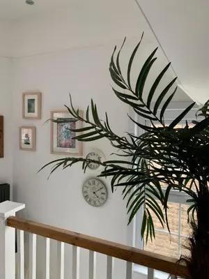 a white wall with a clock and a plant at Harbour View in St Ives